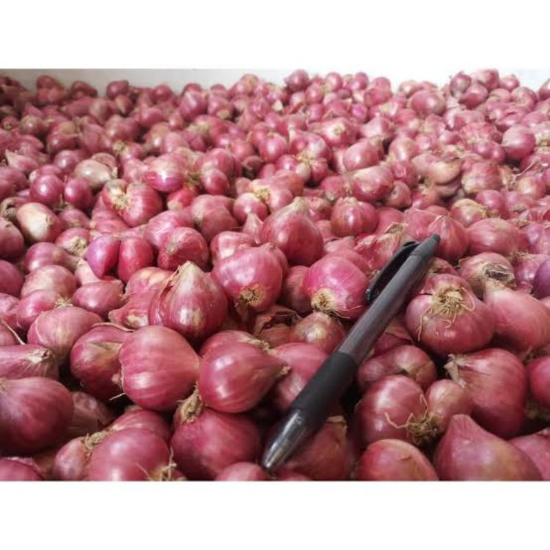 

bawang merah brebes kering 1kg ukuran sedang