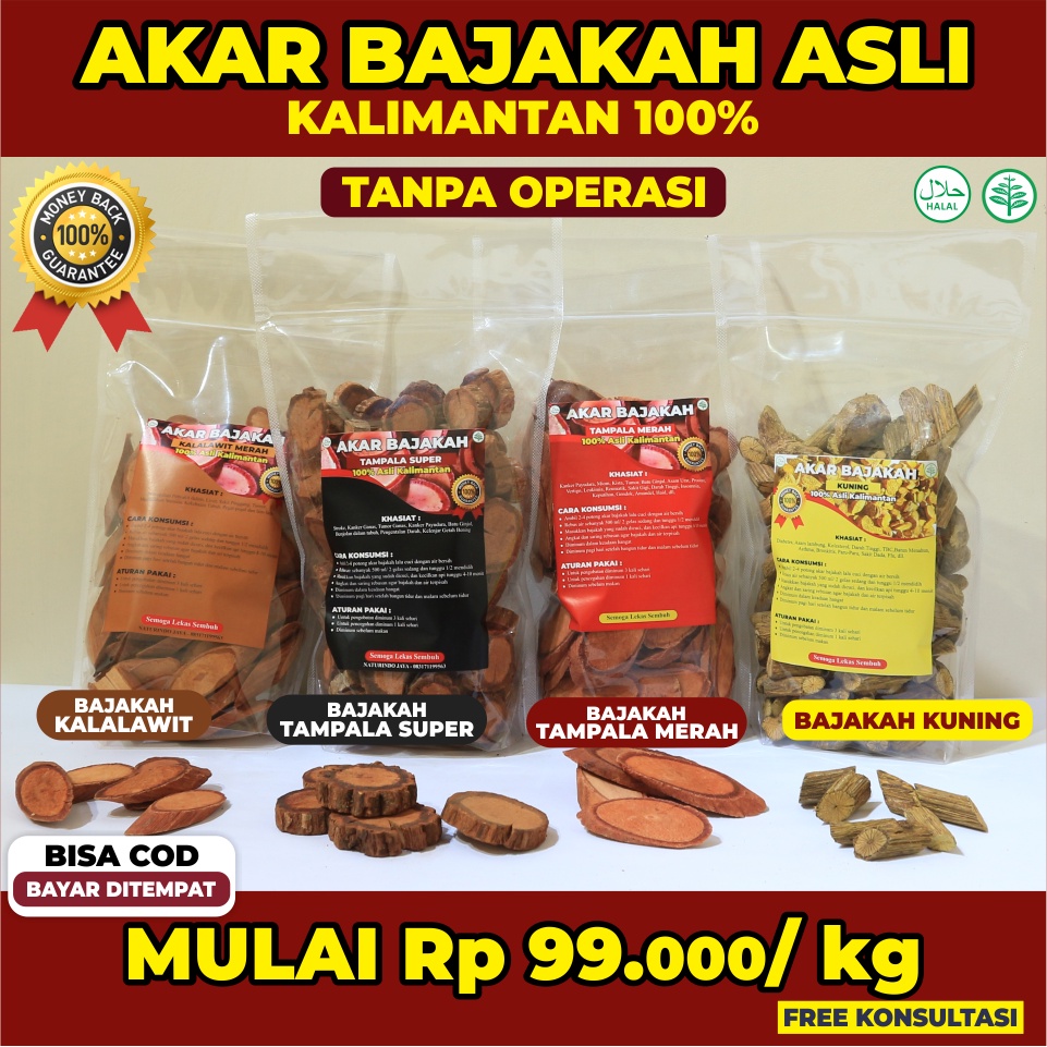 

Akar Bajakah 100% Asli Kalimantan jenis Kalalawit Merah, Tampala Merah, Tampala Super