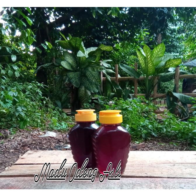 

BIG SALE MADU ODENG ASLI ISI BERSIH 300G STOK TERBATAS