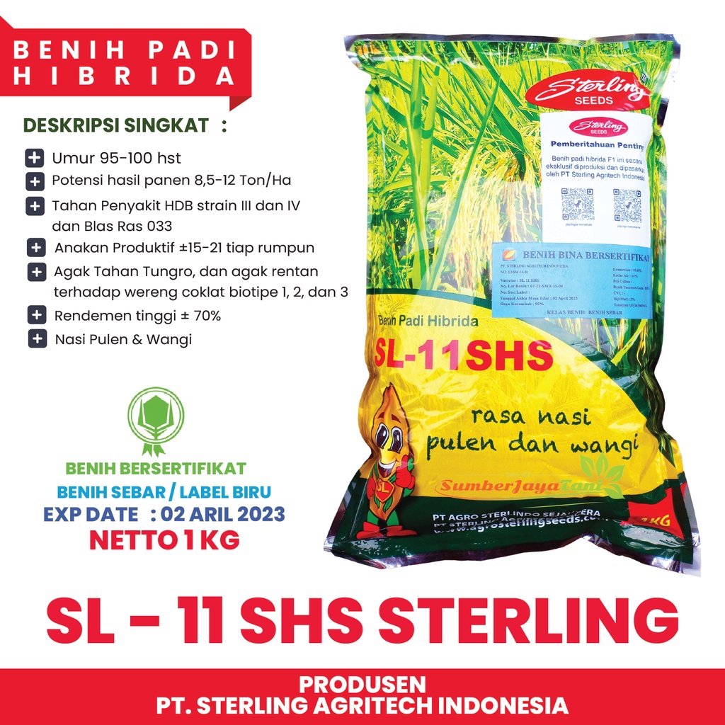 Benih Padi Hibrida SL 11 SHS - Padi Premium Malai Panjang dan Nasi Pulen dan Aromatik