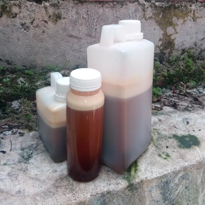 

BEST SALES MADU KELANCENG ISI BERSIH 1KG SALE