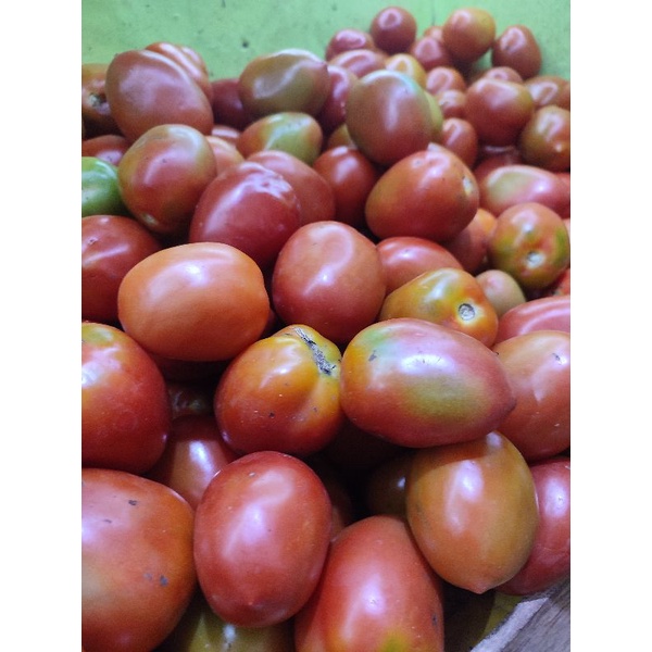 

tomat 500 gram