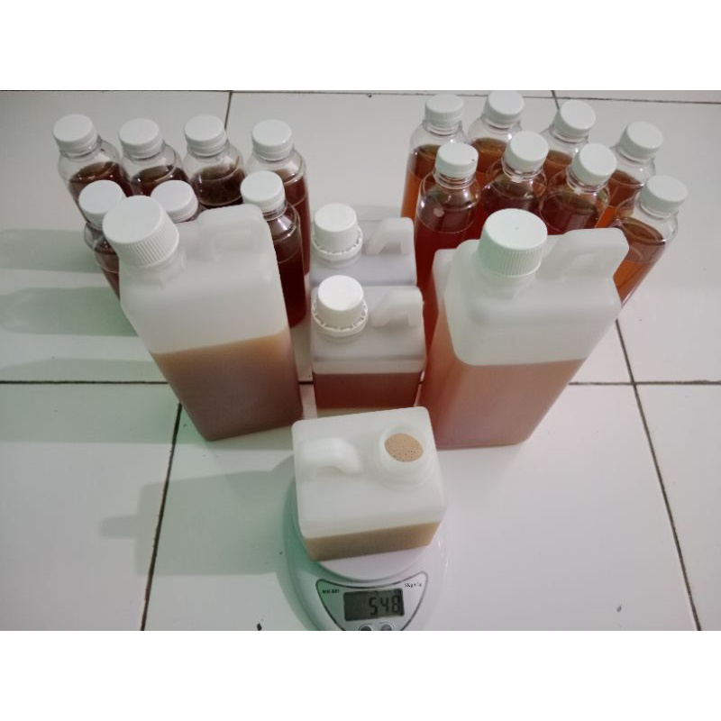 

Madu sialang, madu hutan murni, madu kualitas terbaik
