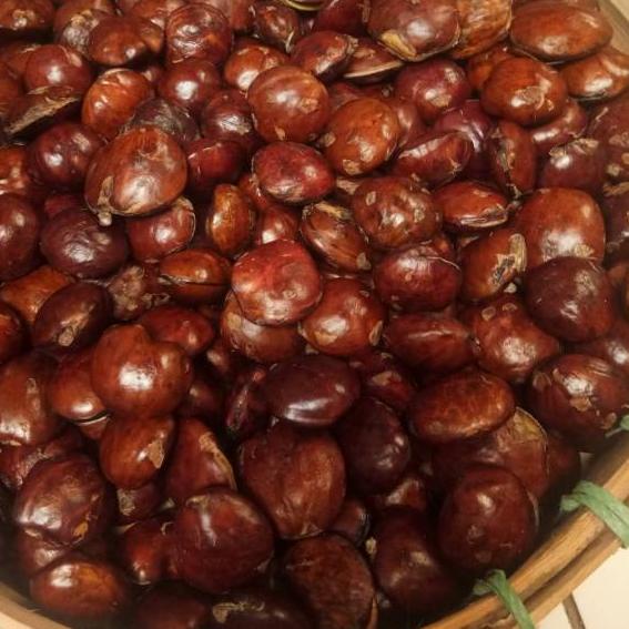 

ㅠ 1kg Jengkol mentah tua segar ✓