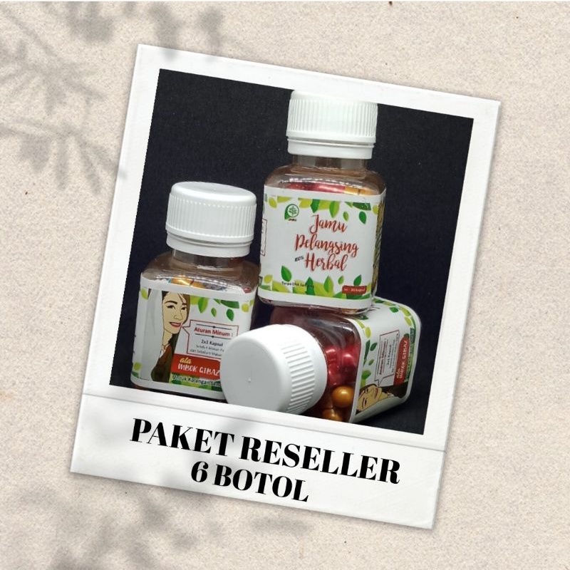 JAMU PELANGSING HERBAL (PAKET RESELLER)
