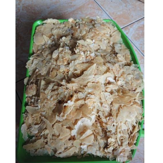 

NEW ARRIVAL EMPING MELINJO REMUKAN EMPING MENTAH REMUK 500 Gram ✯ 879