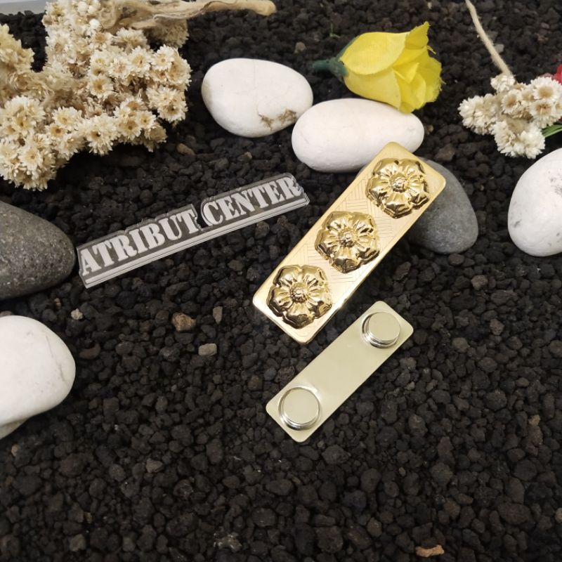 Tanjab Kerah Pangkat Kerah Plat ASN 4B