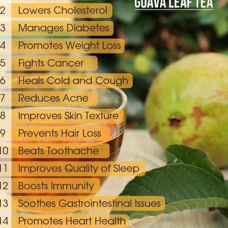 

IDx4X8j--GUAVA LEAF TEA : TEH DAUN JAMBU BIJI PURE 100% ORGANIC (30 TEA BAG)