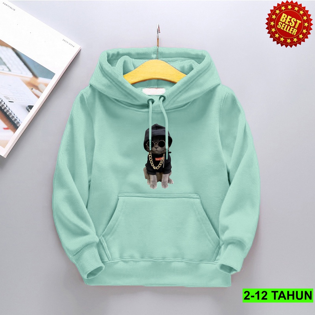 Hoodie anak laki-laki usia 2 3 4 5 6 7 8 9 10 tahun / Hooodie anak laki laki perempuan KUCING Sweater anak terbaru / switer distro