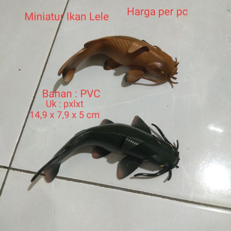 Miniatur Ikan Lele Miniatur CatFish