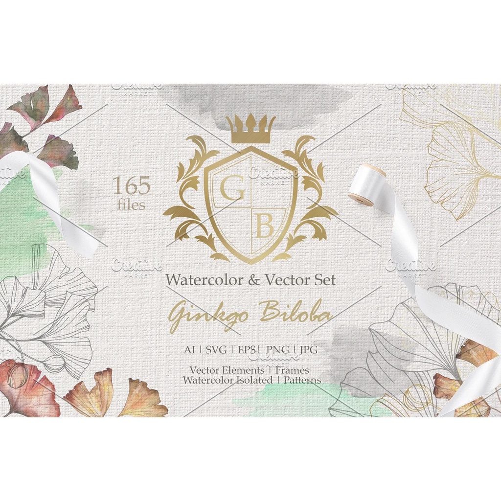 Ginkgo Biloba Watercolor And Vector