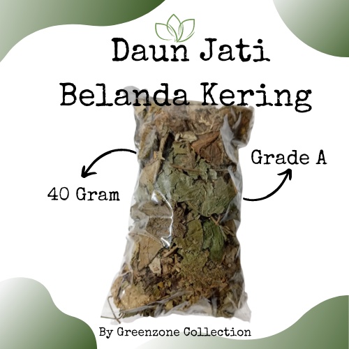 

Daun Jati Belanda Kering Original 40 Gram Pelangsing Alami