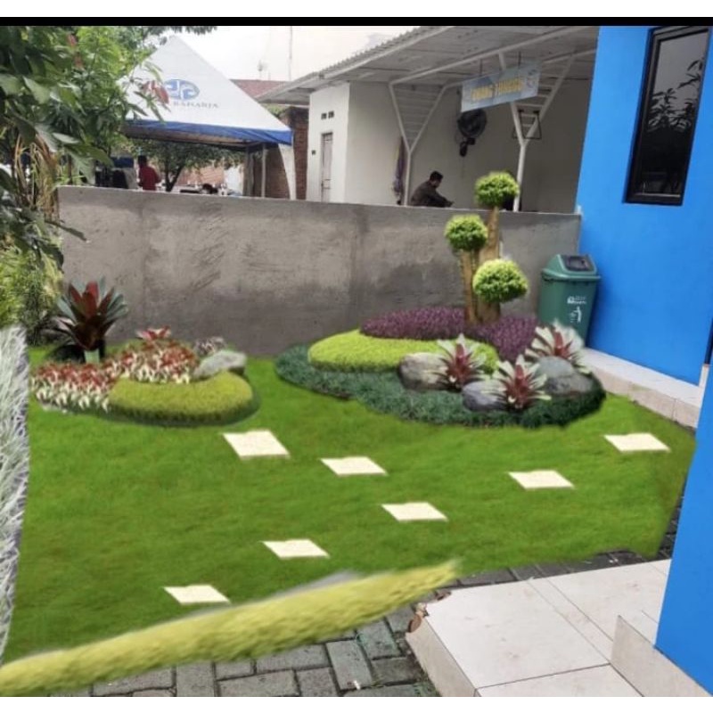 Taman Rumput/ Taman Kering/Taman kombinasi - Tukang taman JABODETABEK