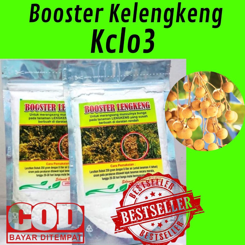 MURAH MERIAH Booster Kelengkeng 250gr / Booster Kelengkeng Alami / Booster Kelengkeng Nasa