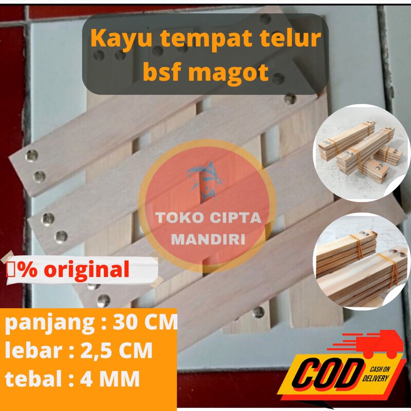 kayu tempat telur bsf magot
