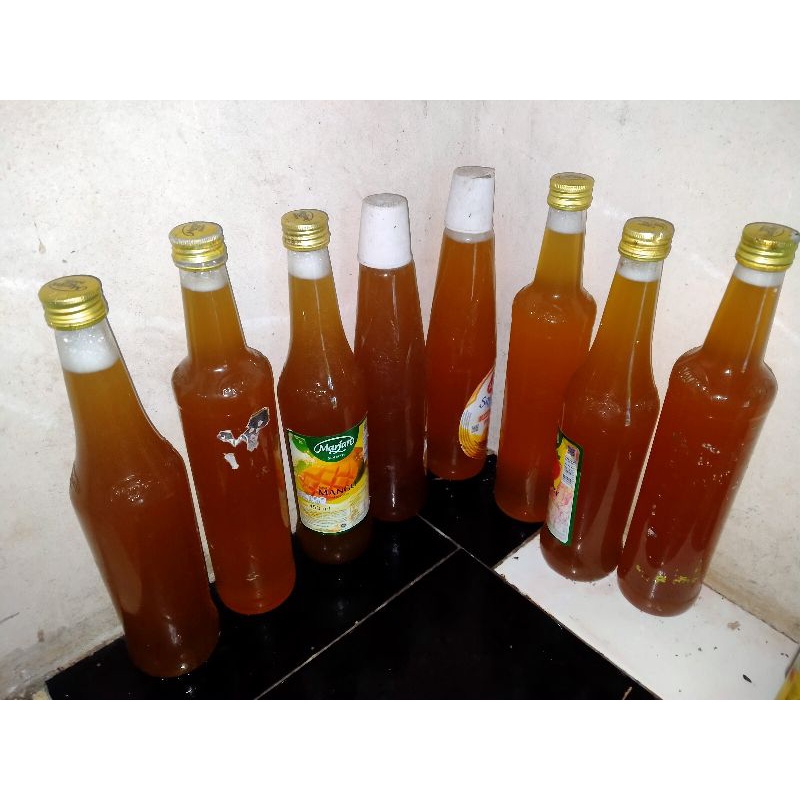 

madu trigona,madu klenceng,madu talas