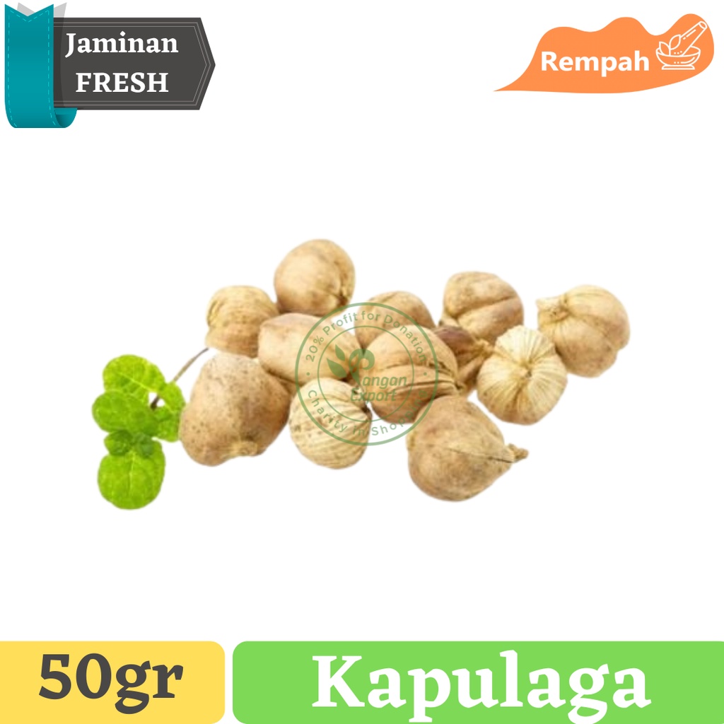 

Kapulaga Cardamom Premium / Buah Bumbu Sayur Masak by Pangan Export