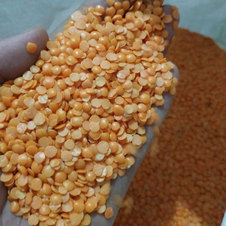 

10.10 Fasion sale RED LENTILS/ MASOOR DALL/ SPLIT LENTILS 1 KG grosir