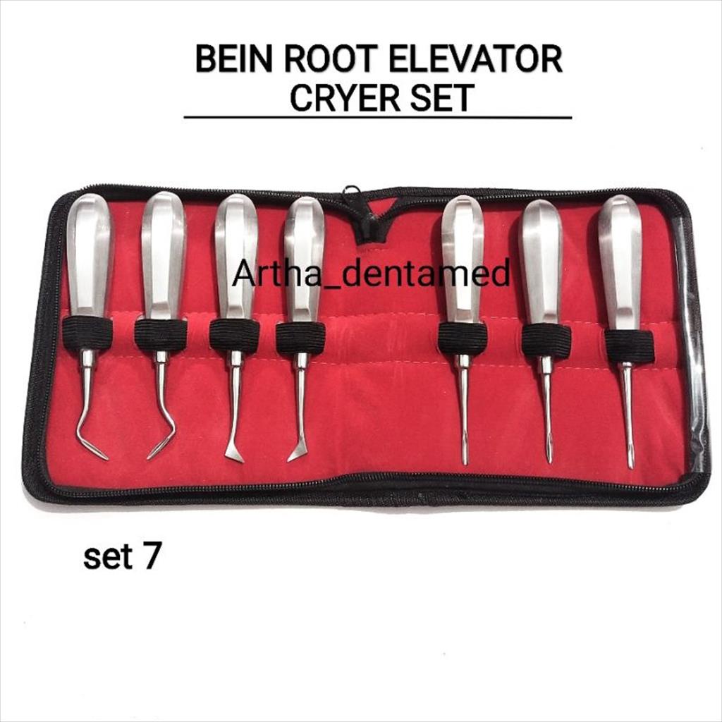 BEIN ROOT ELEVATOR CRYER SET 7