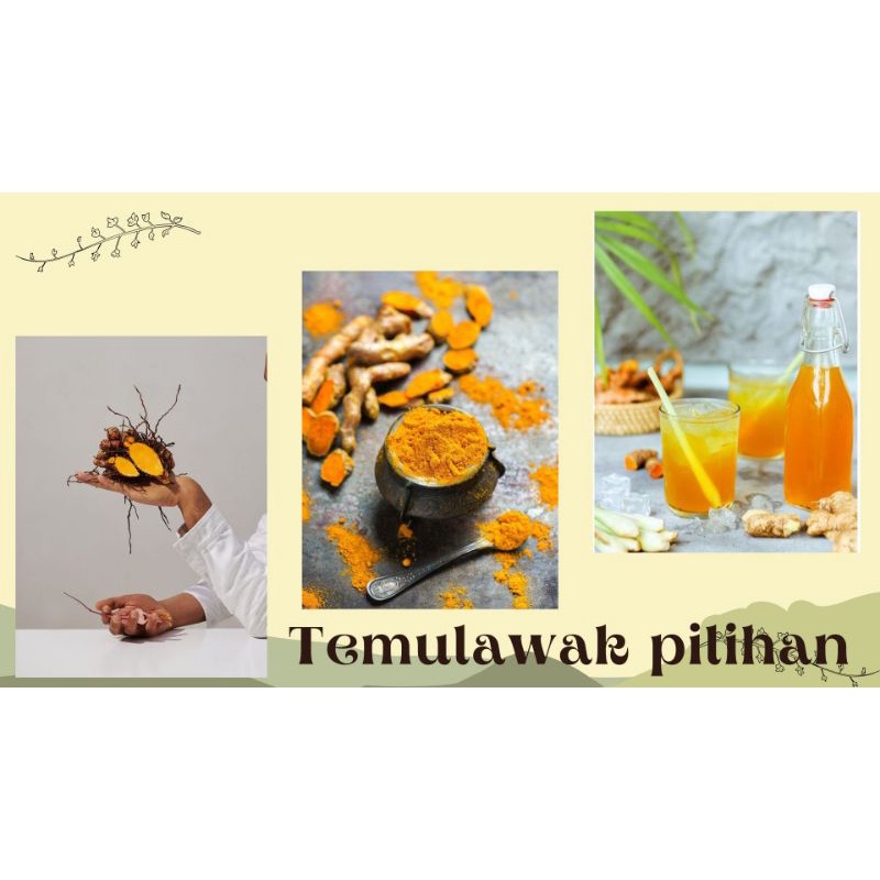 

Temulawak Herbal Drink