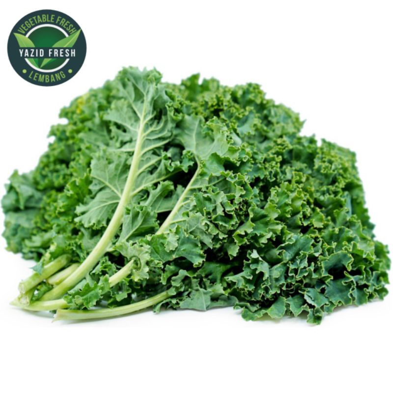 

sayur kale