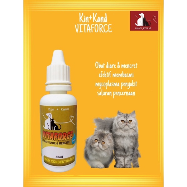 Kin kand VITAFORCE Obat Diare dan Mencret Kucing Anjing