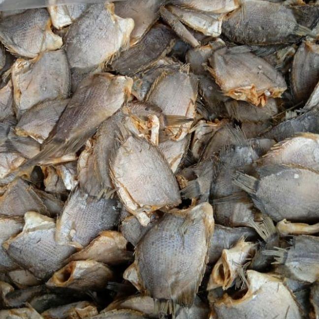 

GRATIS ONGKIR✅Ikan Asin SEPAT TEMBAKANG SUPER 500 gr|SQ2