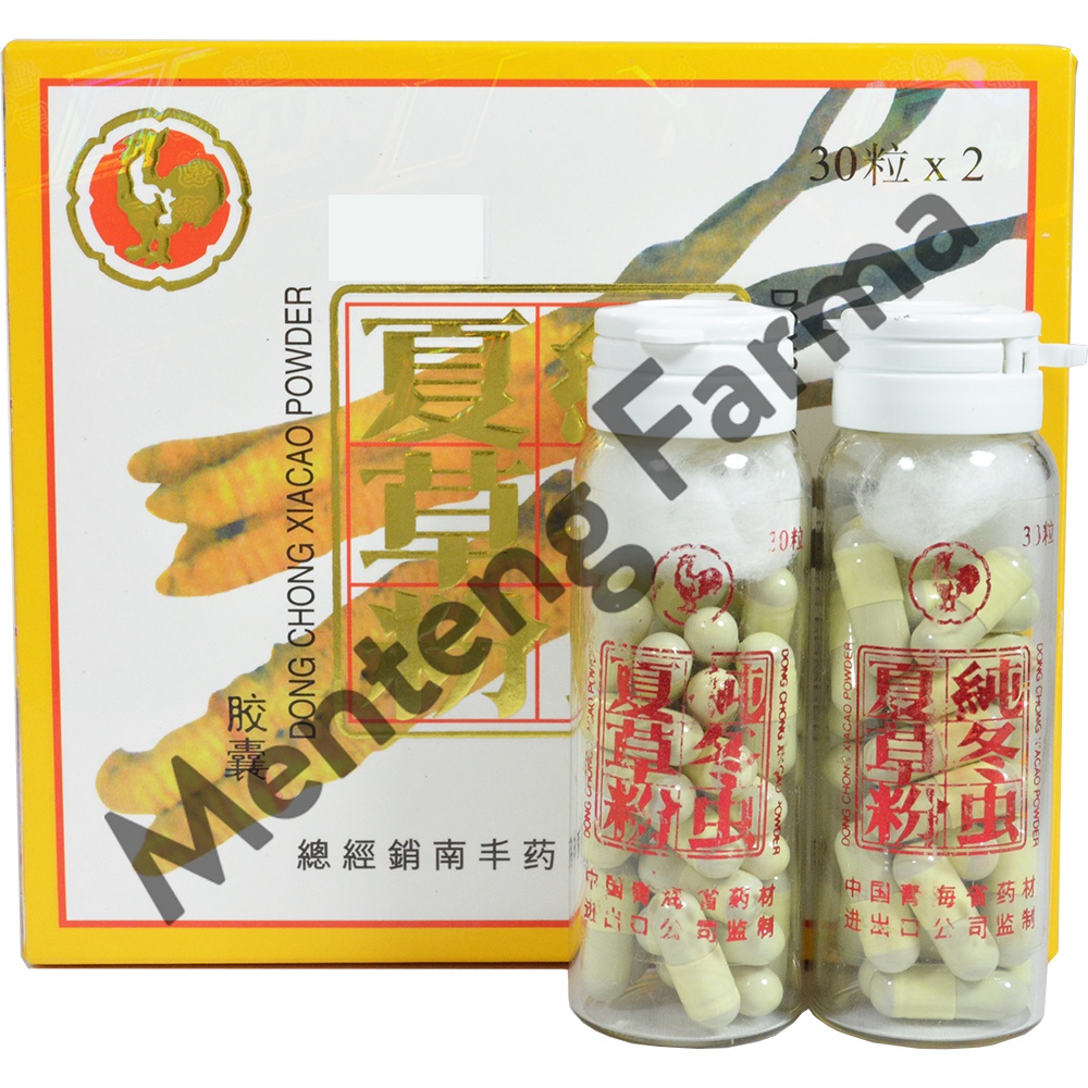 Dong Chong Xiacao Powder Capsule (Cordyceps)