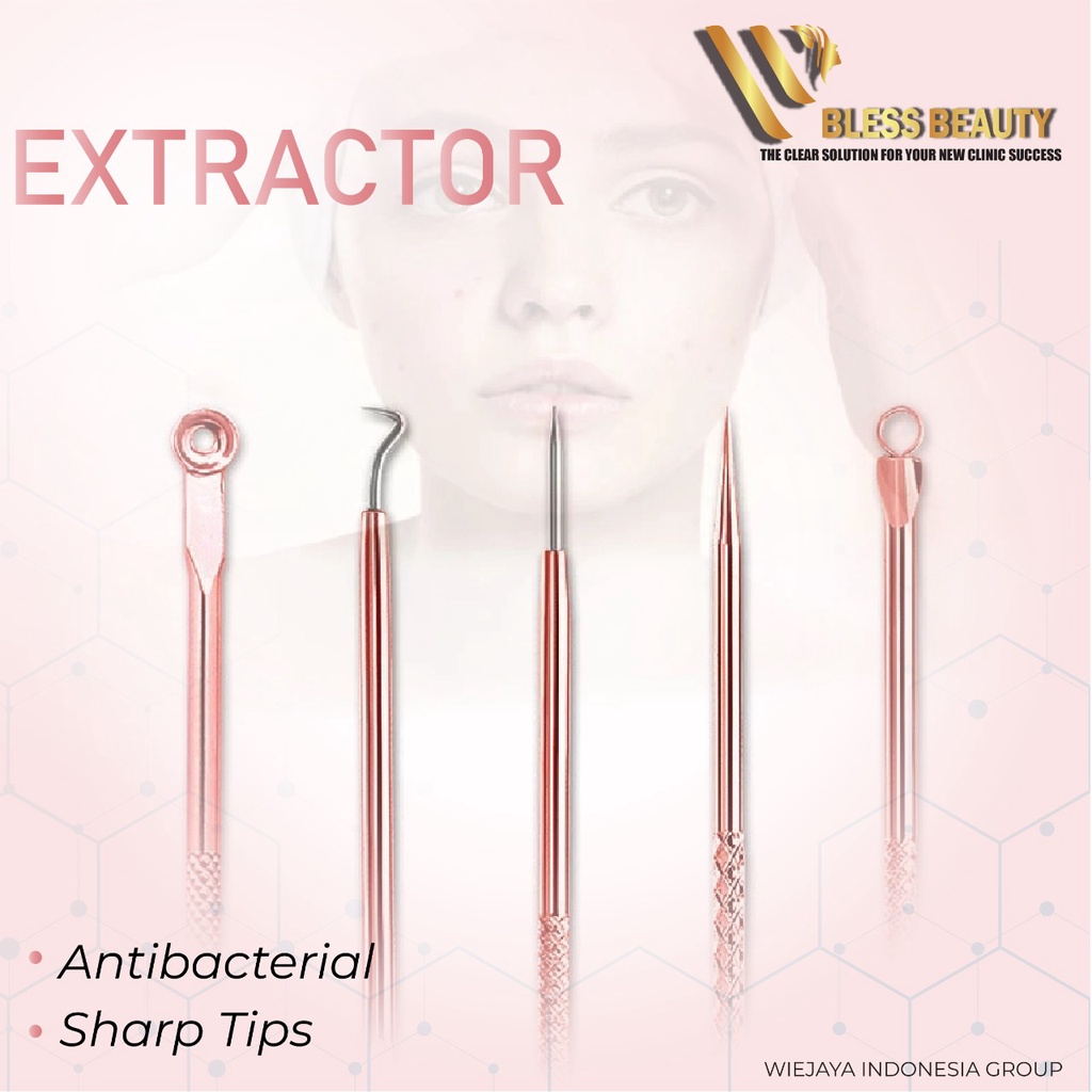 Alat Kecantikan Wajah Ekstraktor Pinset Pencabut Komedo 4set Extractor Klinik