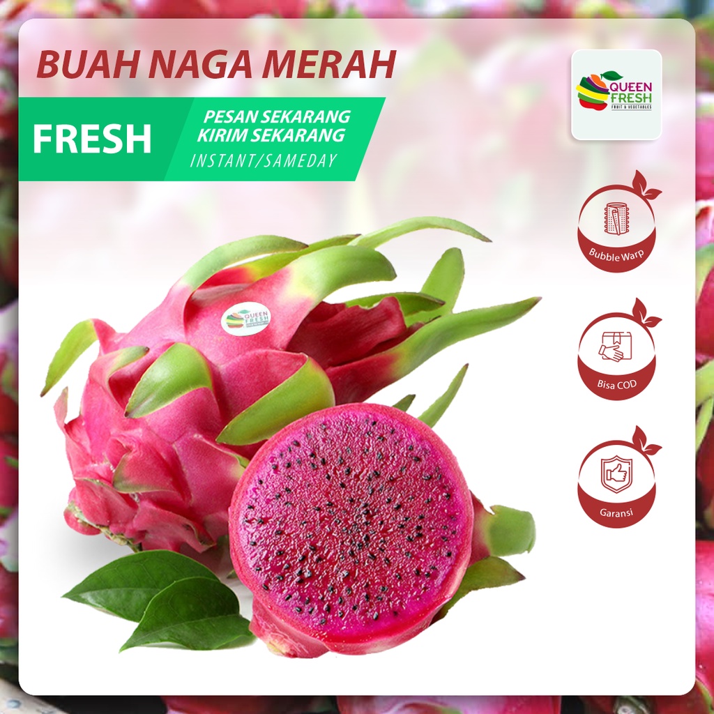 

Queenfresh Buah Buahan Buah Naga Segar Fresh Semarang 500 gr