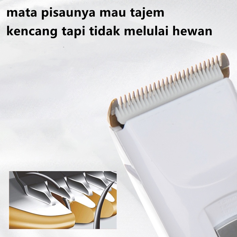 Pet Clipper/Pencukur Bulu Kucing/Alat Cukur Bulu Kucing/ kemei Pemotong Rambut Hewan Peliharaan Pet Hair Clipper