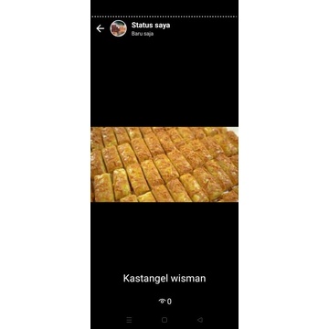 

kastangelwismannastarwisman