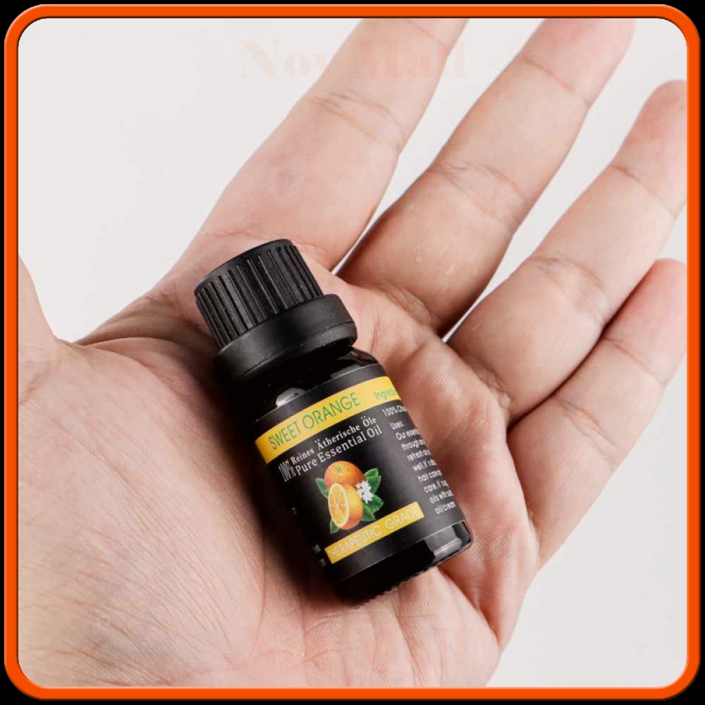 Essential Oils Minyak Aromatherapy Diffusers 10ml 6 PCS AM307