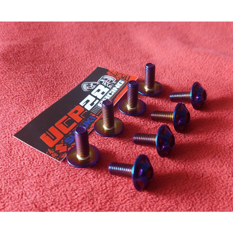 Baut Body M6 x 1,5cm ( baut 10)