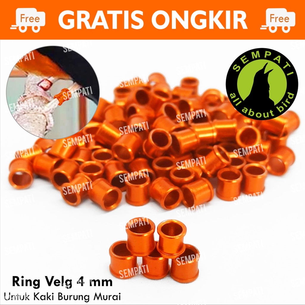 Ring Velg 4mm 4 Mm Ring Penanda Kaki Burung Murai Gelang Alumunium Warna Polos Tanpa Nama Ring Cincin Kaki Burung Murai Batu Trotol