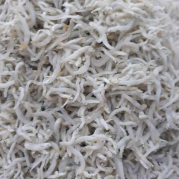 

Promo Teri Nasi Medan 500 gram NBK