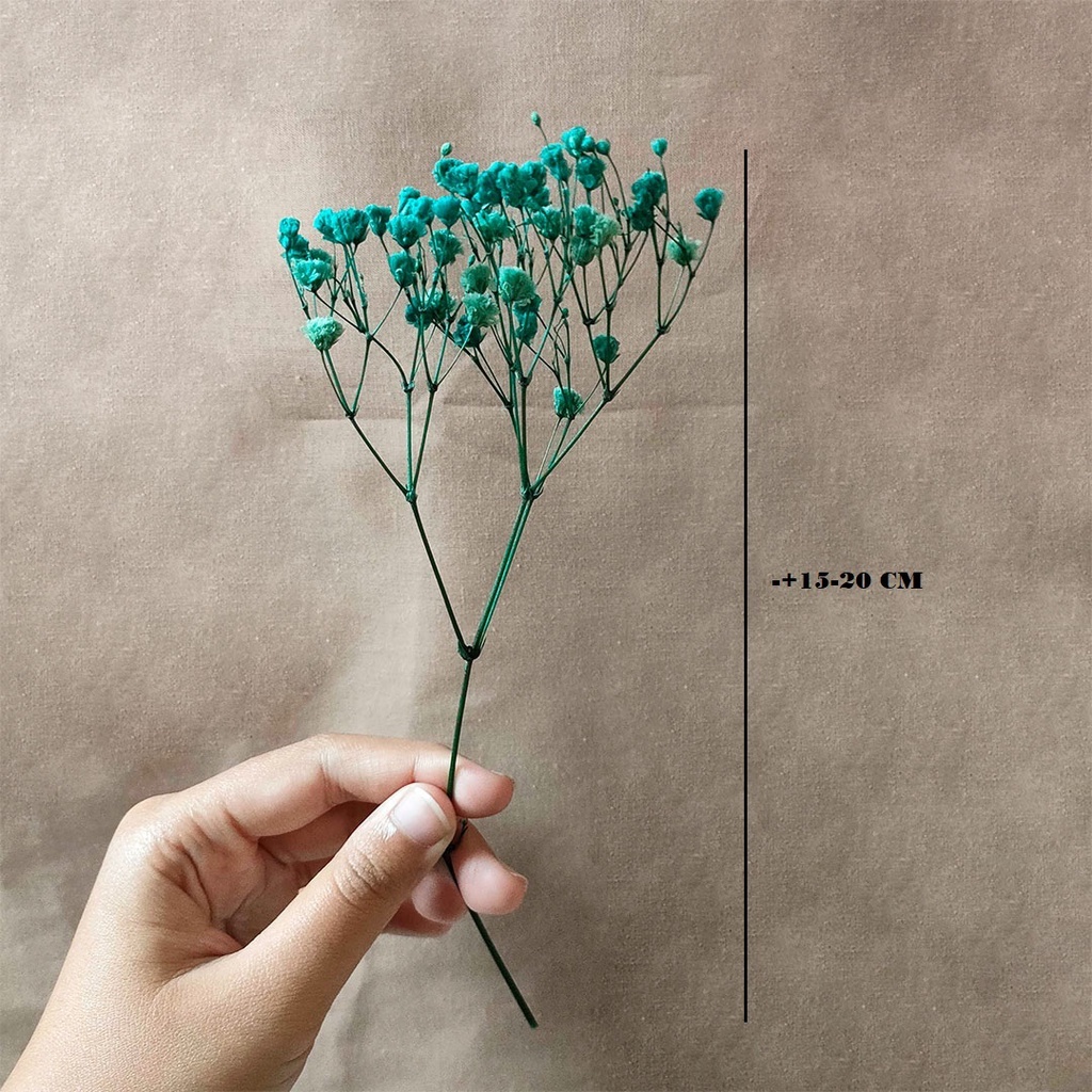 Dried Gypsophila Baby's Breath Bunga Kering Hias Asli Dekorasi Pajangan