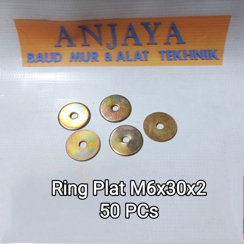 ( 50 PCs ) - Ring Plat M6 x 30 x 2