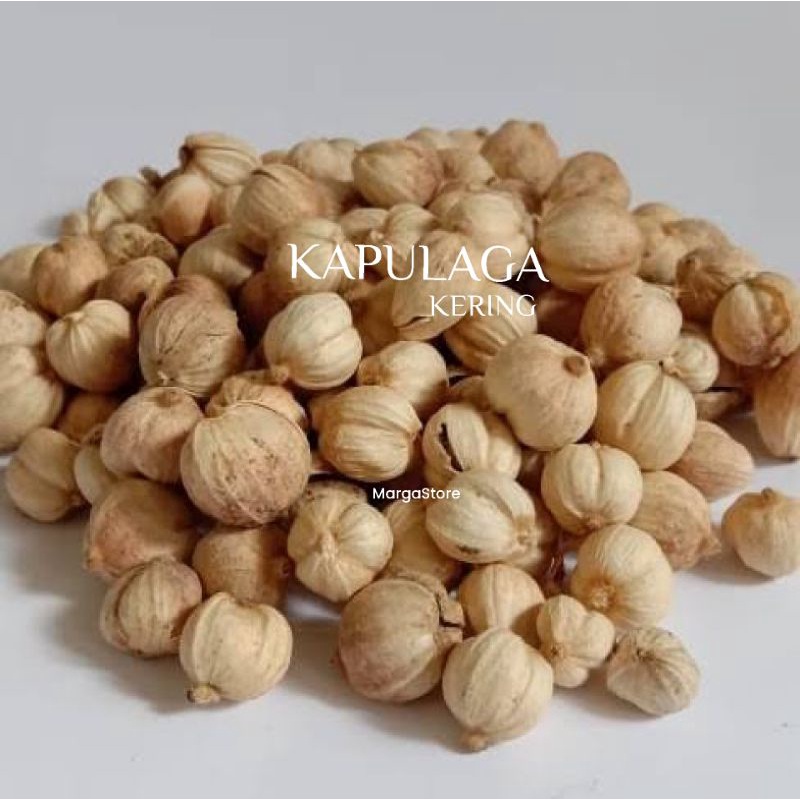 

Kapulaga Kapulaga Kering TRUE CARDAMOM /Kapulaga Kering 50g Kapolaga