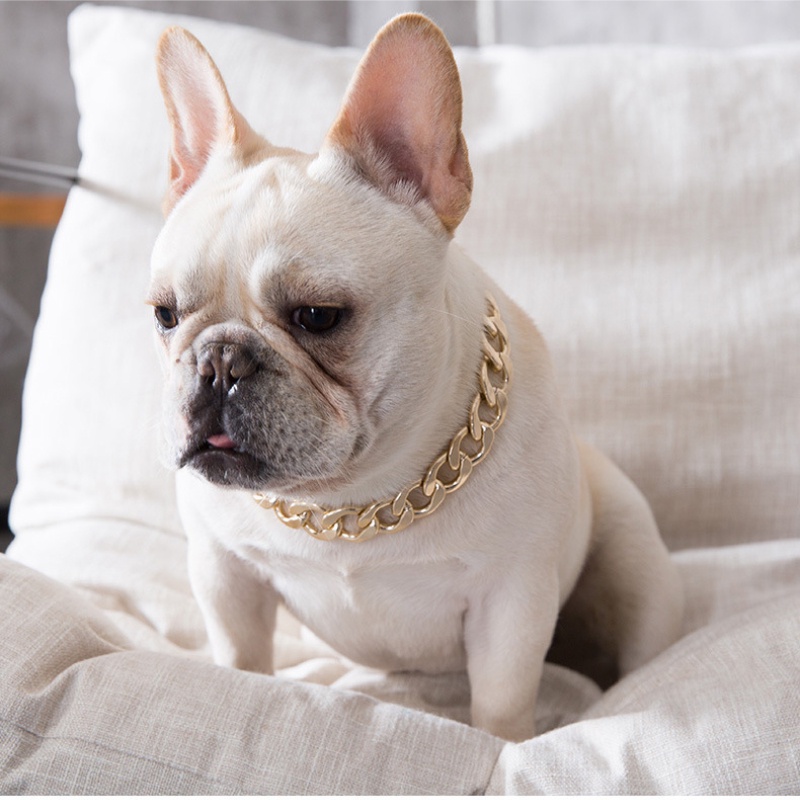 Teddy Pug French Bulldog Buldog Rantai Emas Kecil Sedang Anjing Kerah Kalung Hewan Peliharaan Perhiasan Aksesoris