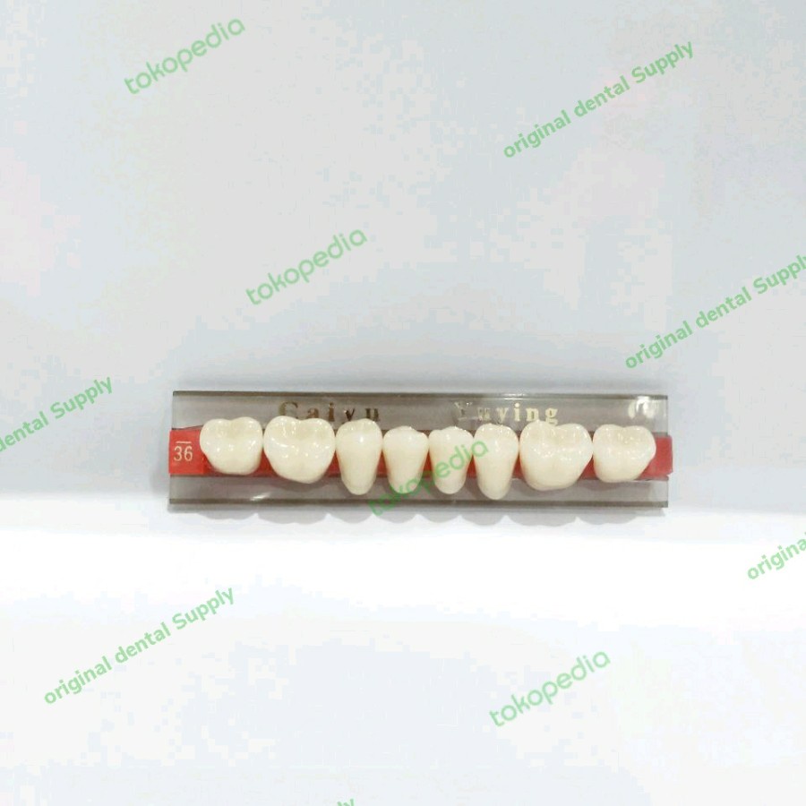 Gigi  Bawah Warna A2 gigi palsu