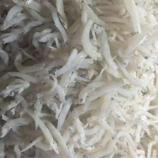 

COD✔️Ikan teri toge super Medan asli 100 %,berat 1kg|SQ9