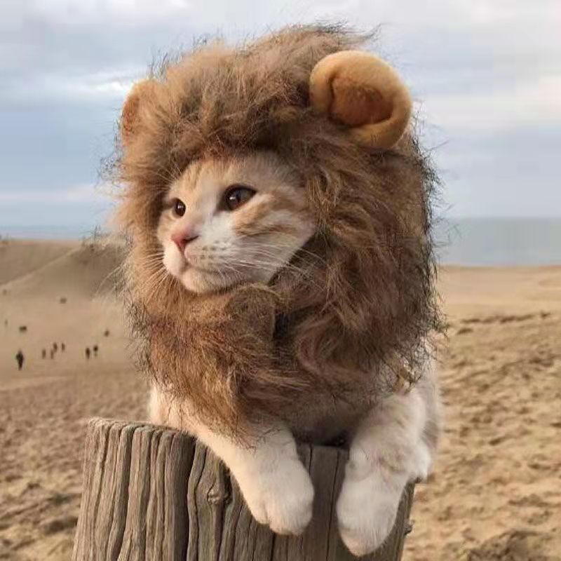 Topi Wig Rambut Singa Untuk Anjing Dan Kucing Peliharaan