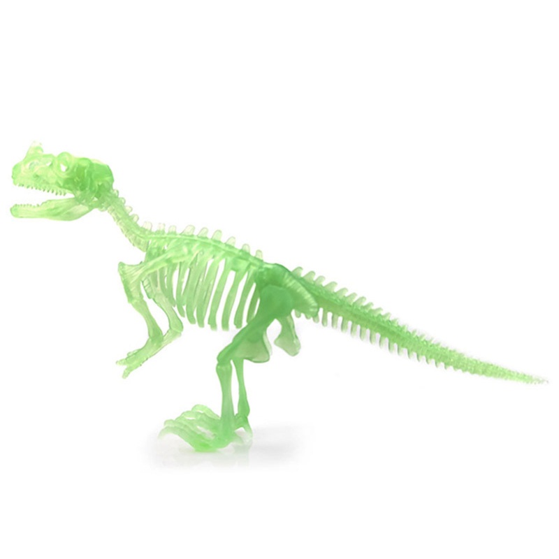 Mary Mainan Bangunan Model Kerangka Dinosaurus Figurine Mini Untuk Kolektor Hobi Anak