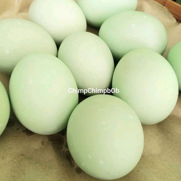 

TELUR ASIN BEBEK PAKET 4 PCS / TELOR ASIN BEBEK SIAP MAKAN 4 PCS PER PACK