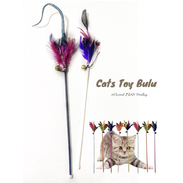 MAINAN KUCING BULU- CAT TOYS BULU