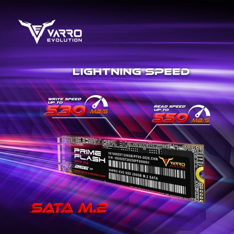 SSD M2 SATA 256GB VARRO