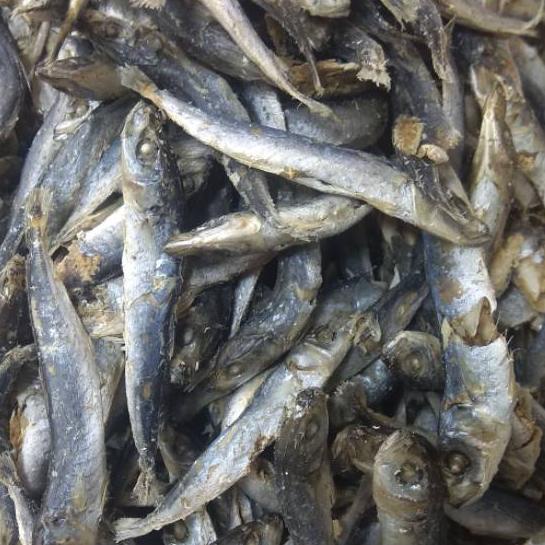 

SALE!!Ikan sampah rebusan medan, berat 250 gram|RA4