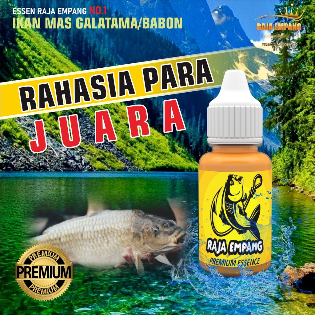 RAJA EMPANG - Essen Ikan Mas Esen Lomba Mancing Super Galak Oplosan Babon Rame Galatama Paling Bagus