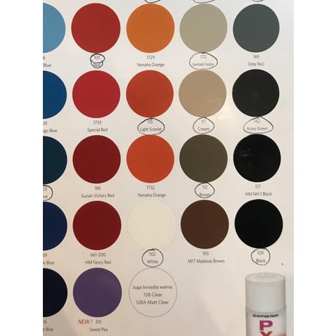 Pylox Nippon Paint 300cc